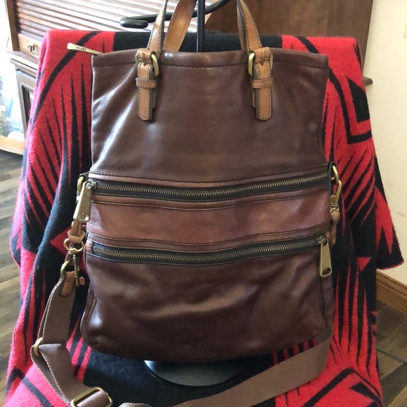 A Fossil Worth Looking At - Picture 2 of 8